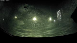 2026/01/03 凍る車